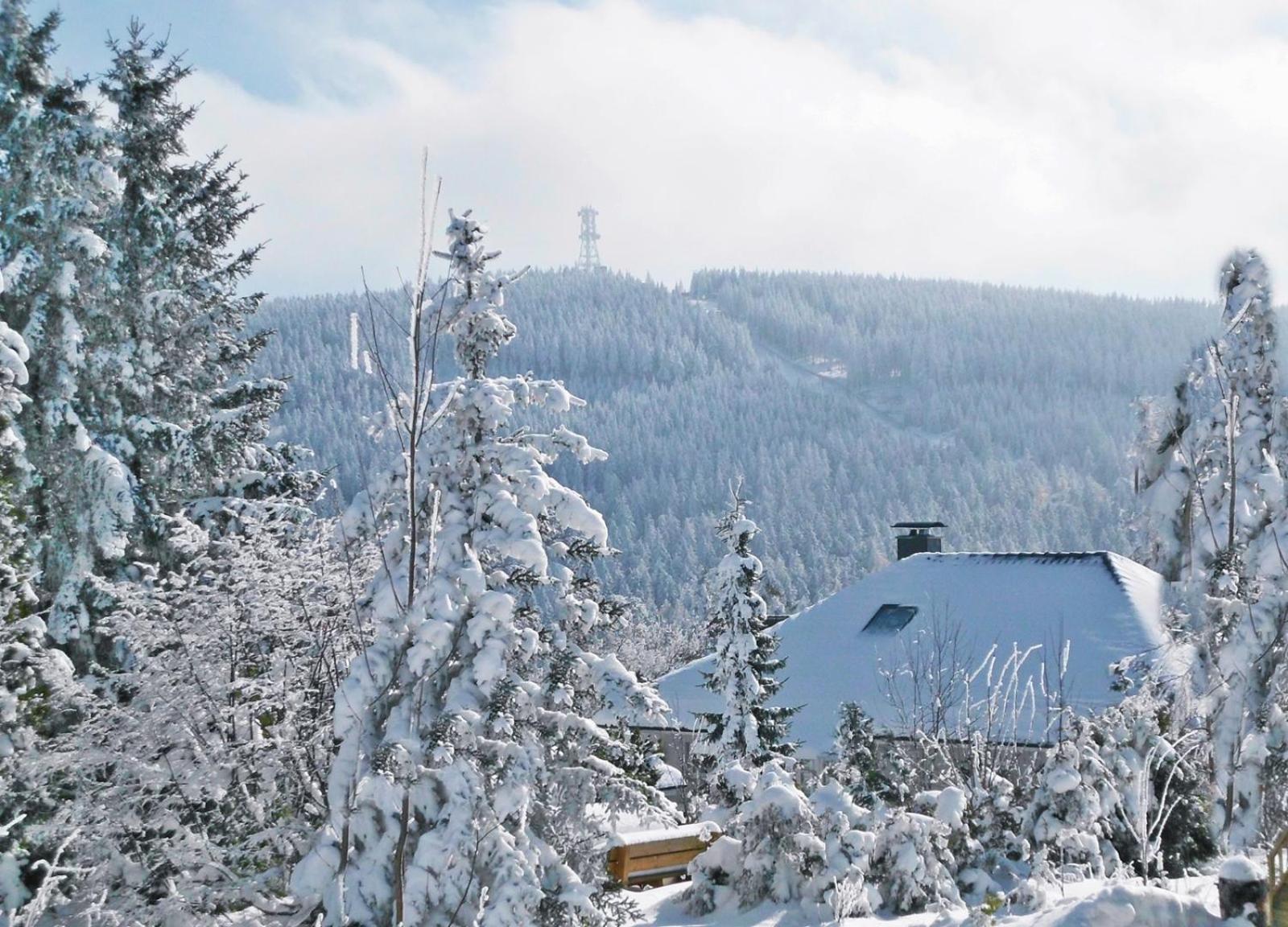 Premium-Ferienwohnungen Bergblick Im Haus Hopfe Goslar Exterior foto
