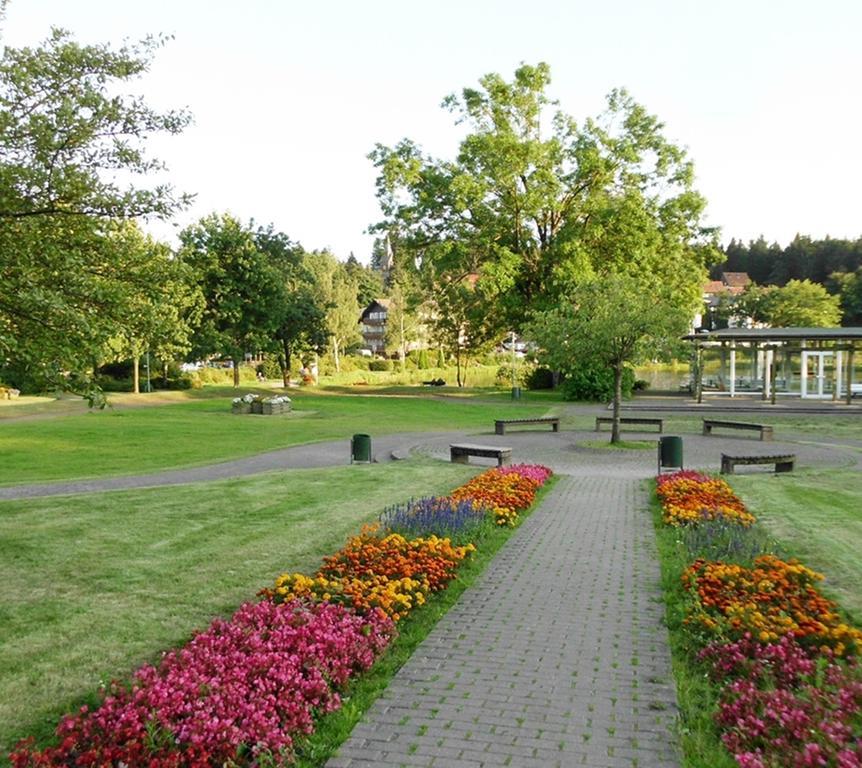 Premium-Ferienwohnungen Bergblick Im Haus Hopfe Goslar Exterior foto